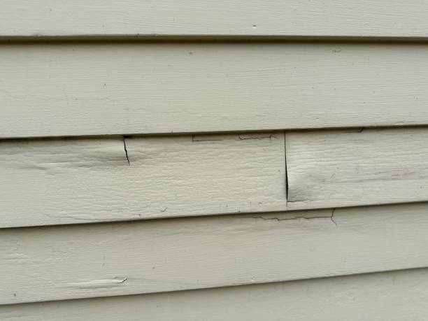 Best Custom Trim and Detailing for Siding  in Seaside, CA